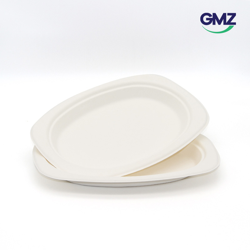 Disposable Bagasse Plate