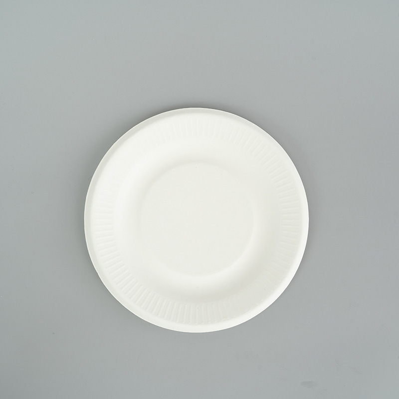 Biodegradable Disposable Plate