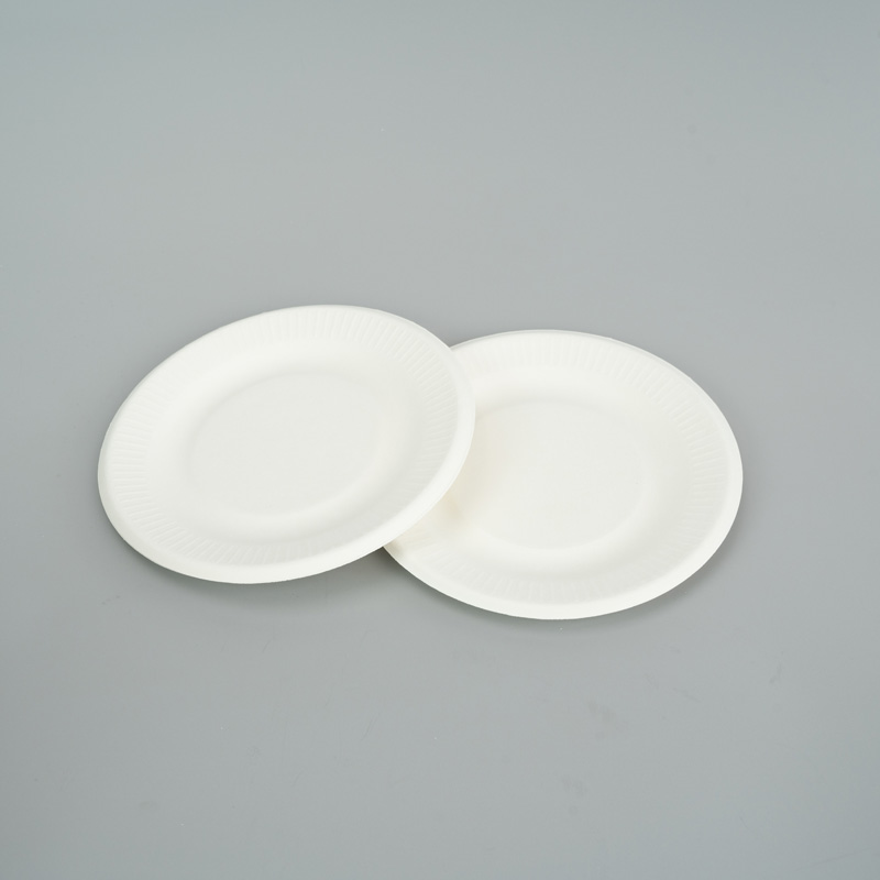 Disposable Bagasse rectangle plate