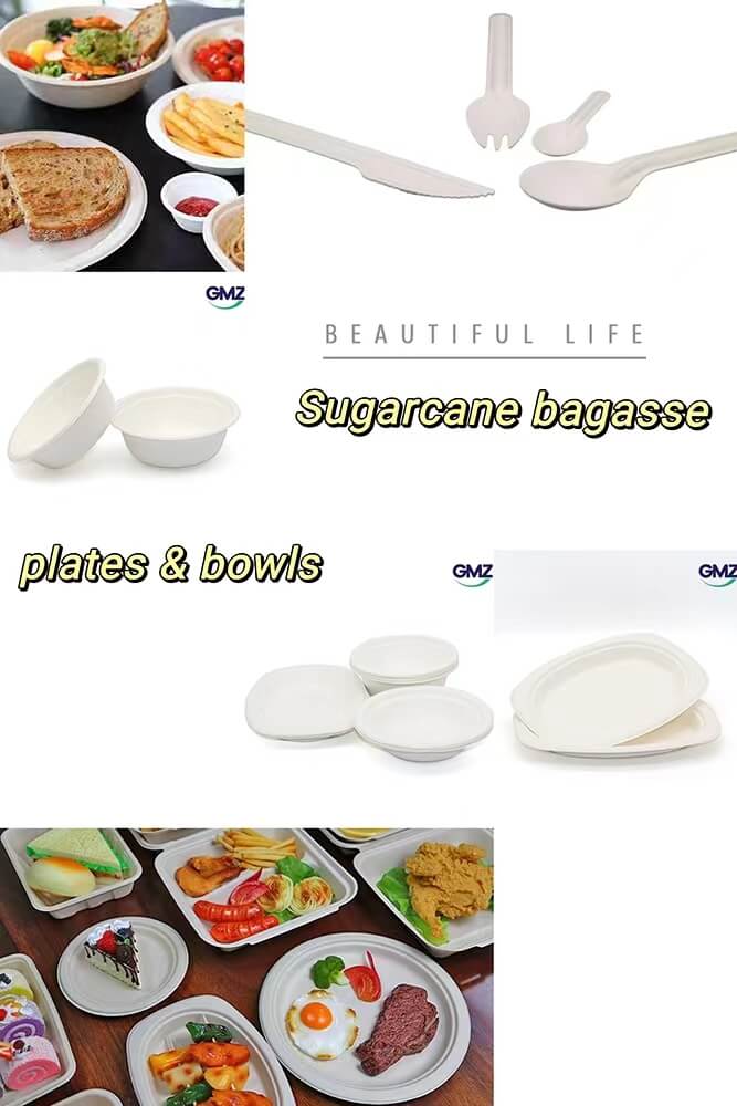 Sugarcane bagasse plates and bowls 