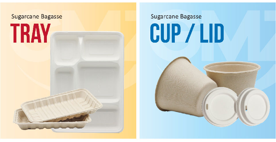 biodegradable bagasse clamshell