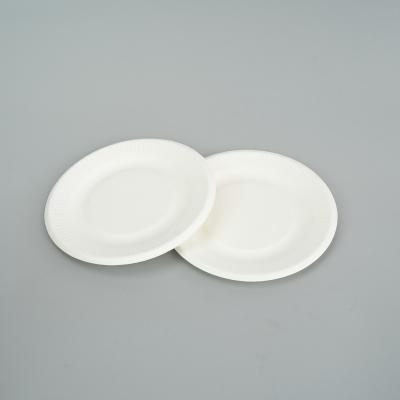Biodegradable Bagasse Clamshell Container