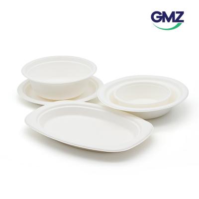 Biodegradable Plate and bowl
